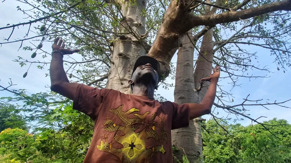 🌳 Man on a mission to plant five million trees