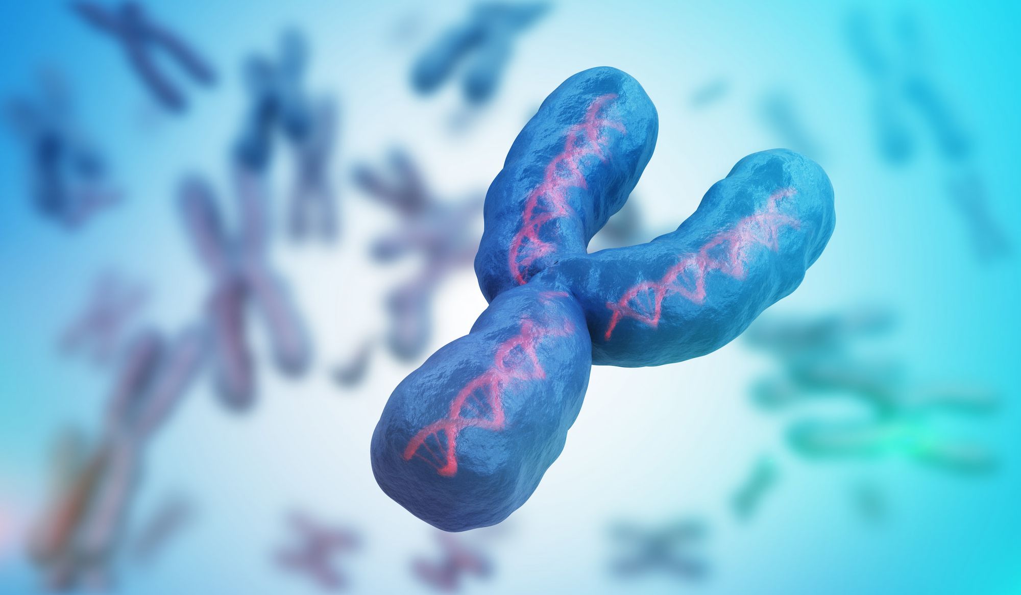 🧬 Human Y chromosome fully sequenced for the first time