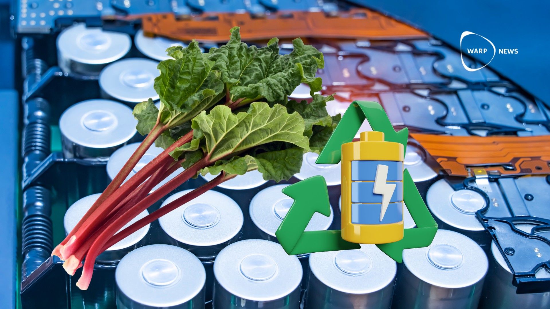🌱 Rhubarbs key to recycling electric car batteries