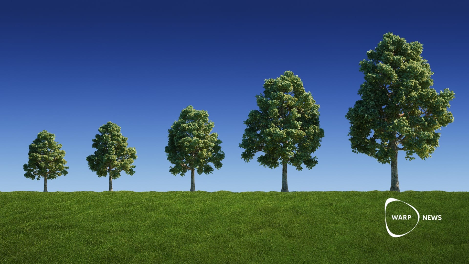 🌳 Allowing existing trees to grow could store a third of our carbon emissions