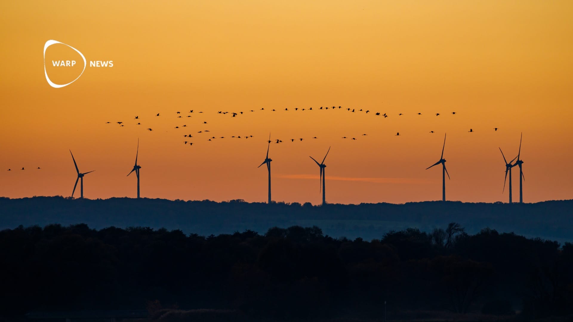 🐦 Study shows minimal impact of wind turbines on bird populations