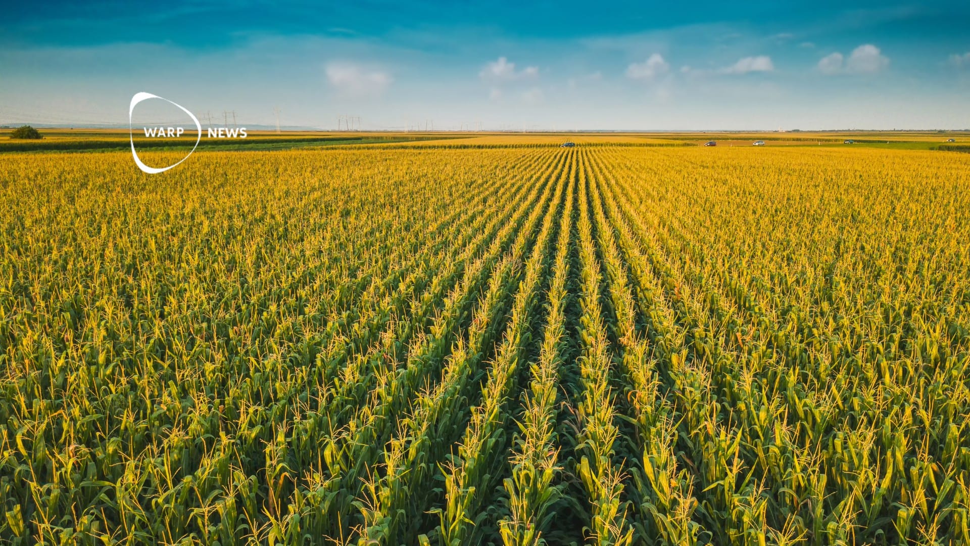 🌽 The Food Price Index has dropped for the seventh consecutive month – the lowest in three years