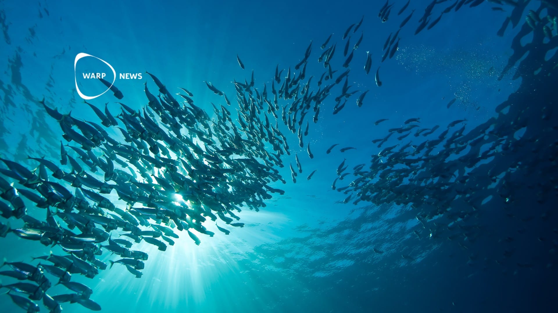 🎣 The list of overfished species in the US has reached an all-time low