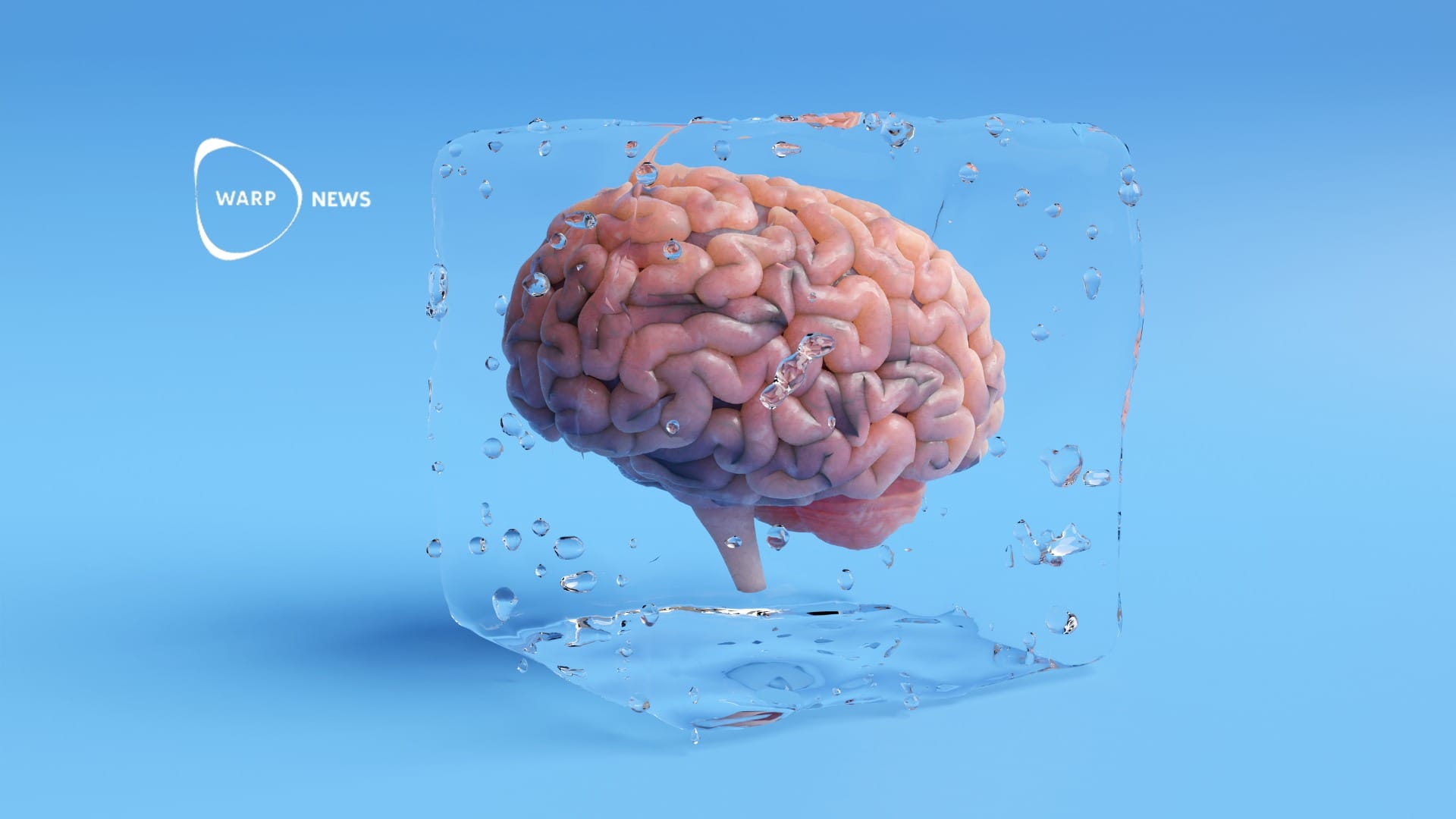 🧠 Frozen brain tissue can now be revived without damage - enables research