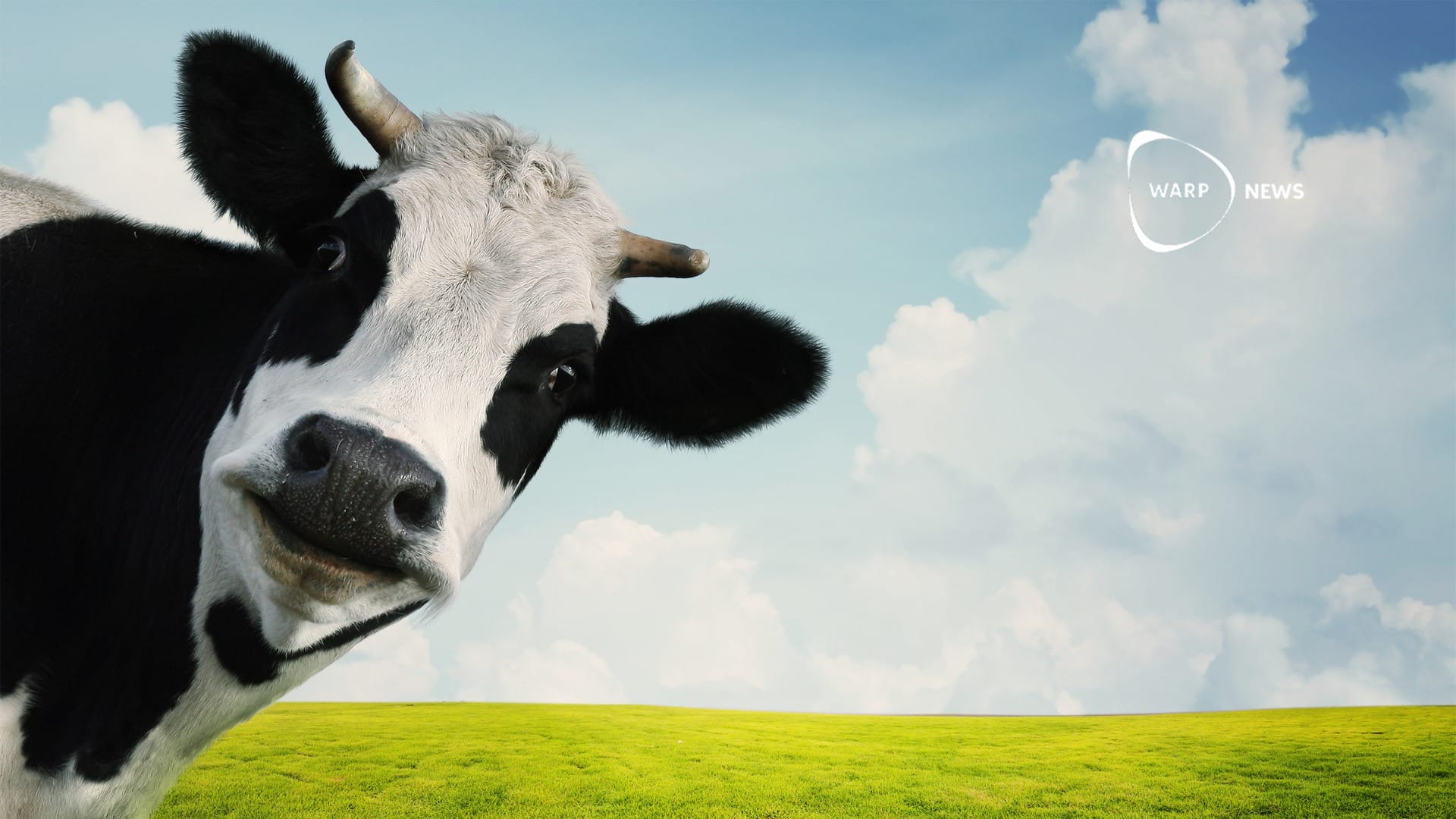 🐮 Volta Greentech's new feed supplement reduces methane emissions from cows - secures $3 million investment