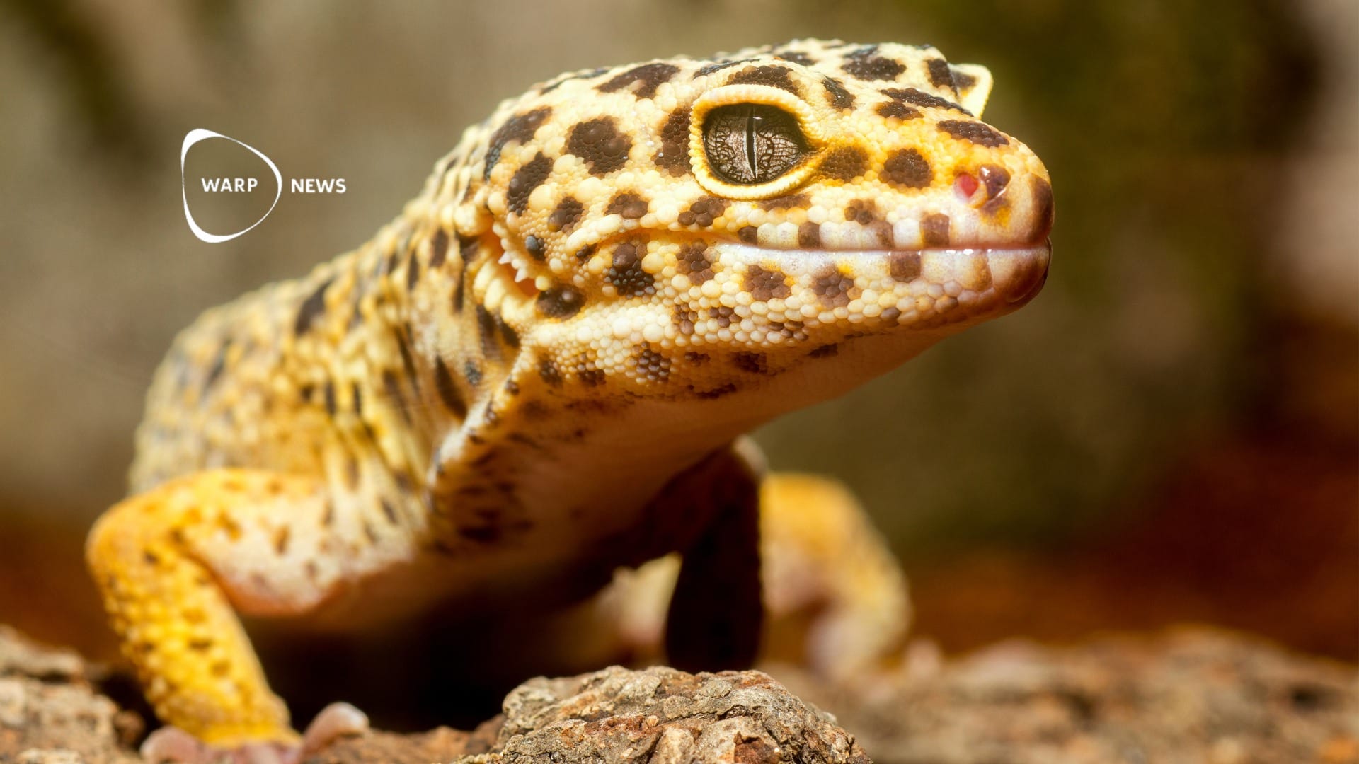 🐦CyberTracker helps indigenous communities document biodiversity