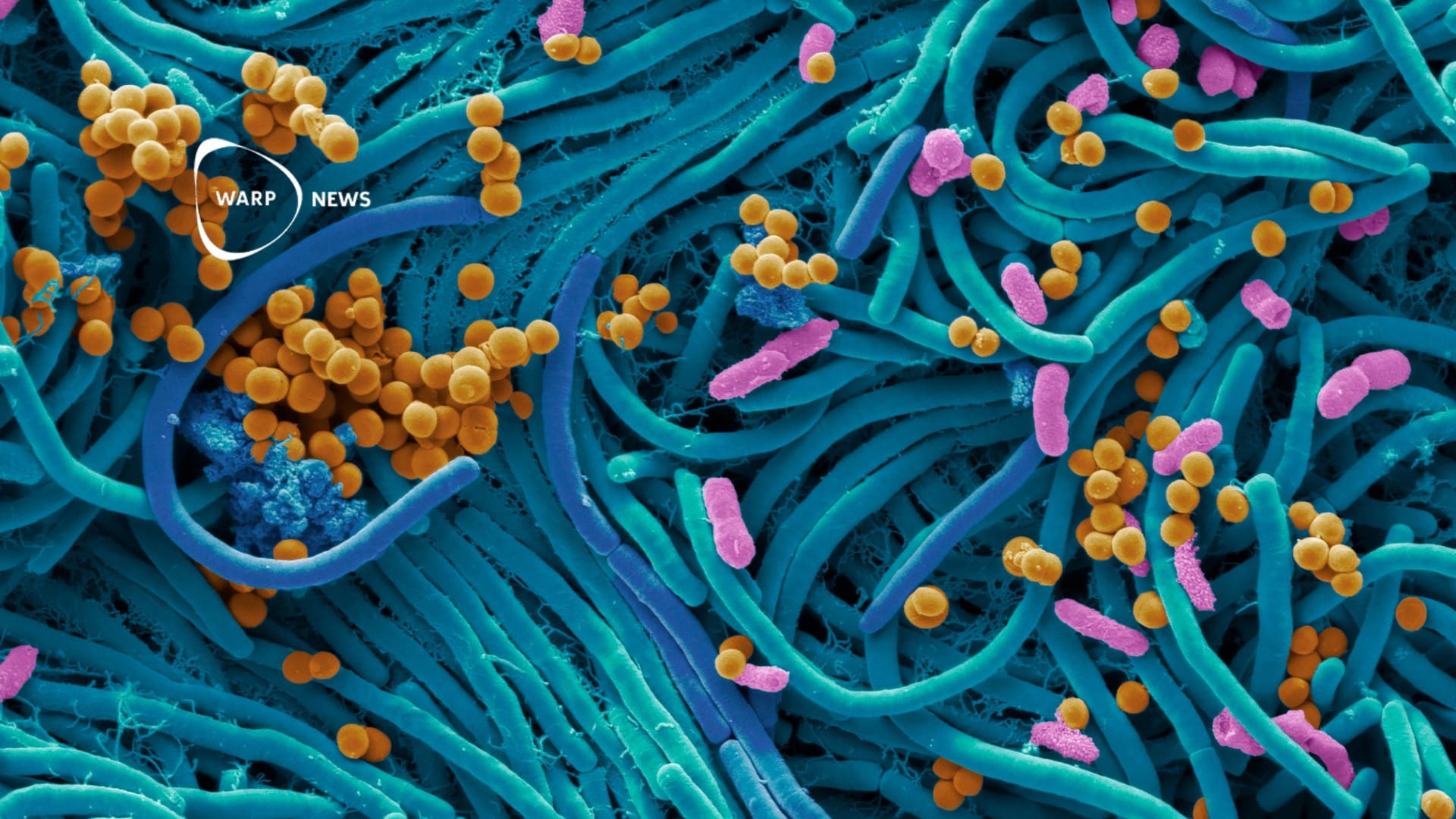 🦠 AI discovers nearly 1 million new antibiotics - progress in the fight against antibiotic resistance