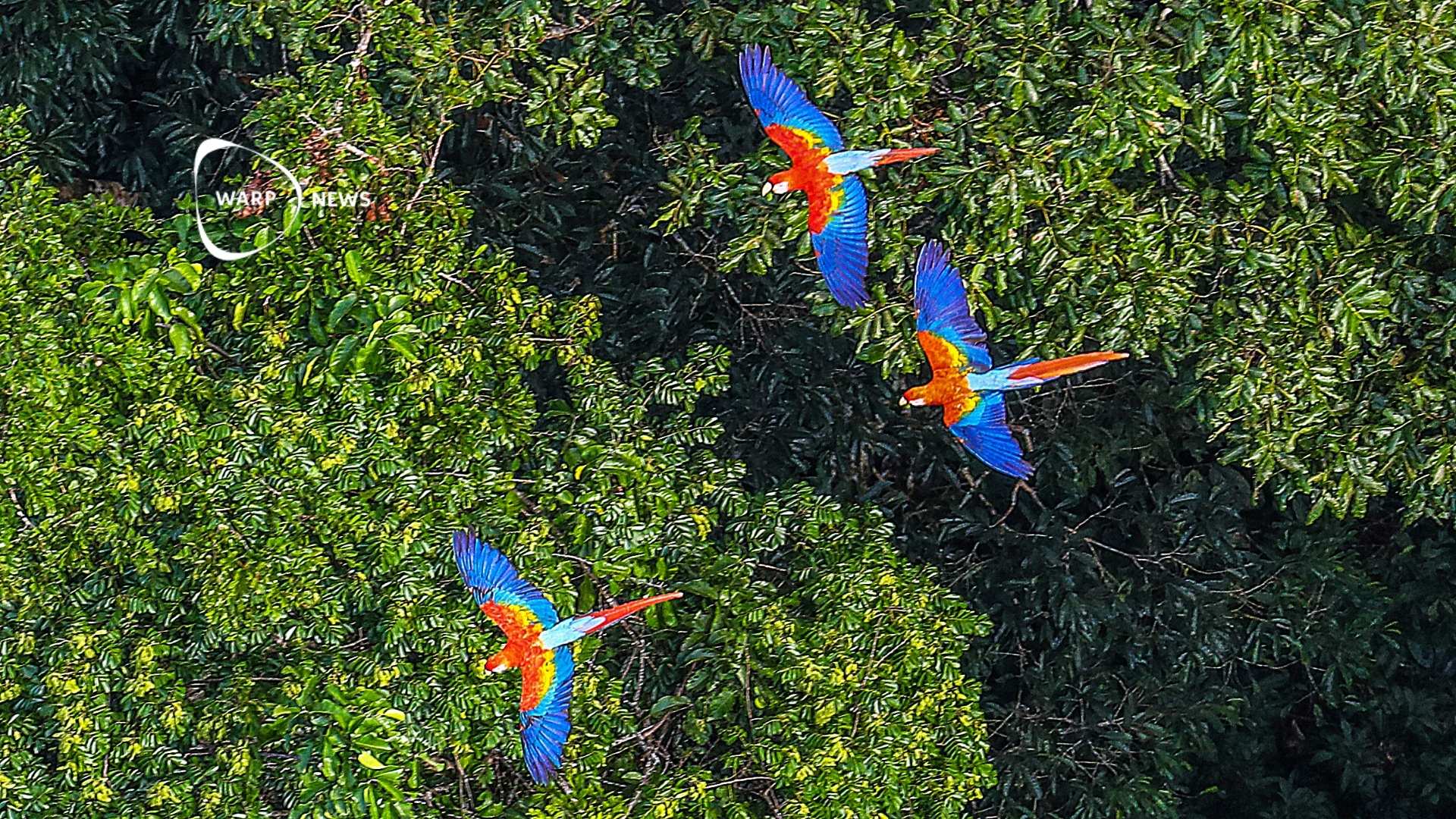 🌳 Deforestation in the Amazon decreases by 30%