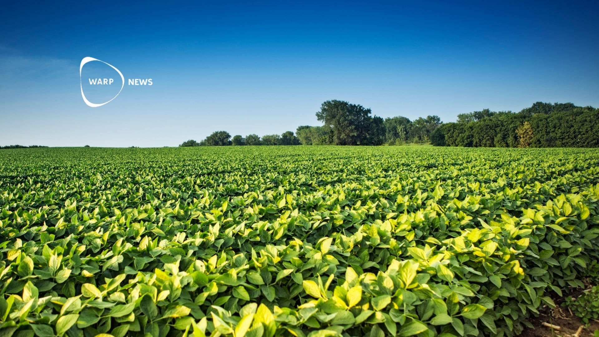 🧬 CRISPR adapts crops and livestock to withstand warmer climate