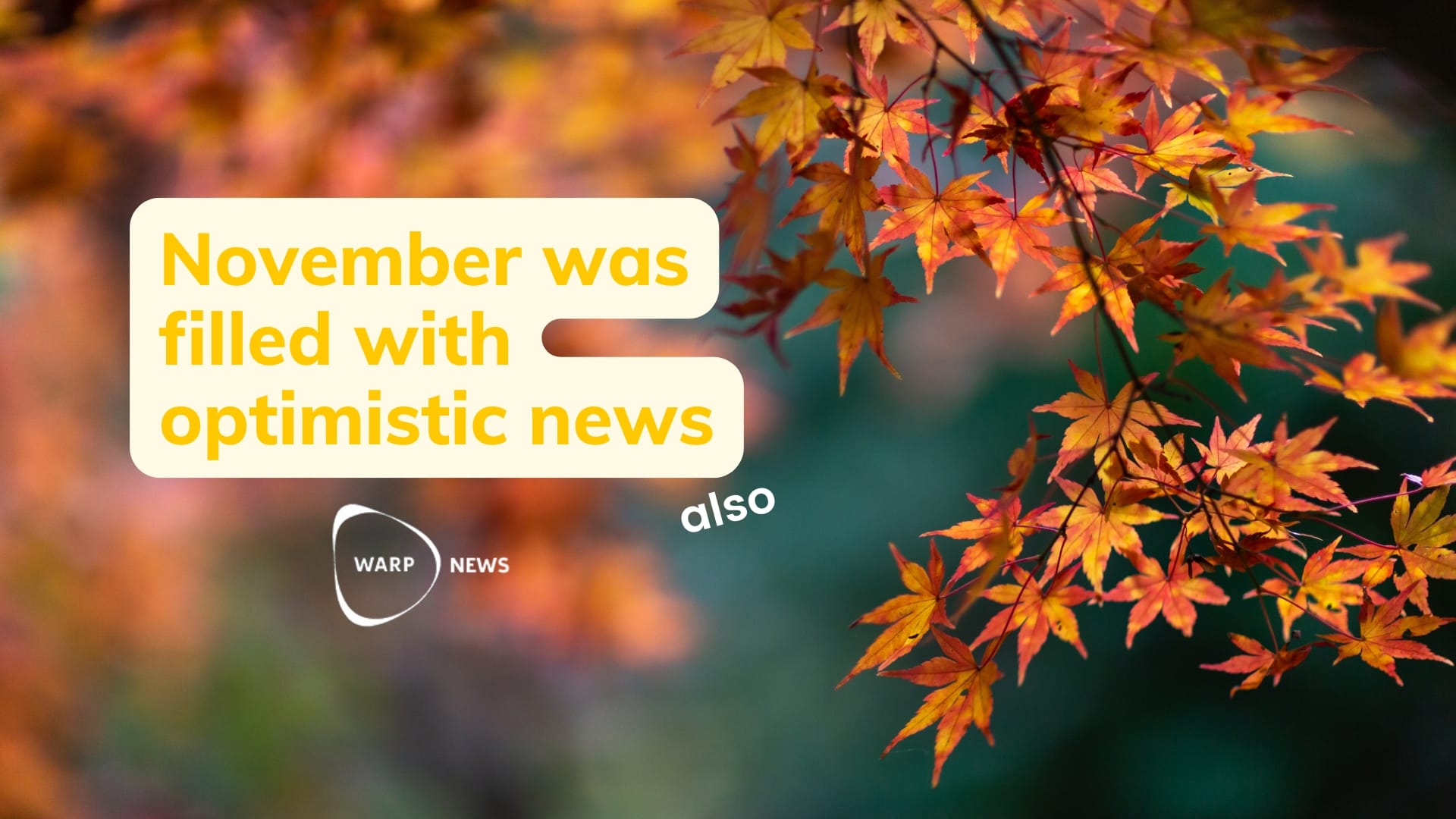 💡 Fact-based optimistic news from November