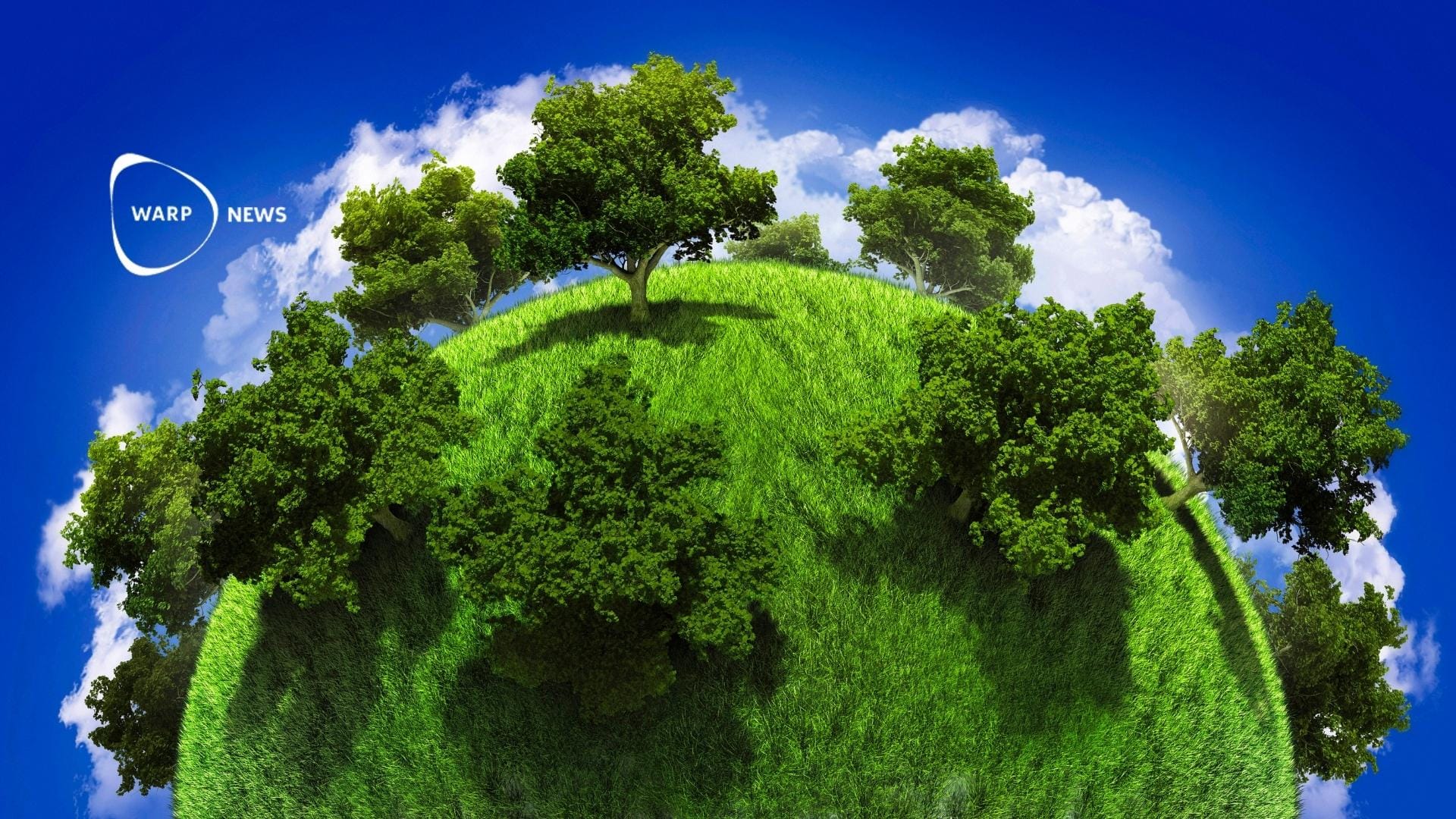 🌎 The Earth has become greener during the 21st century