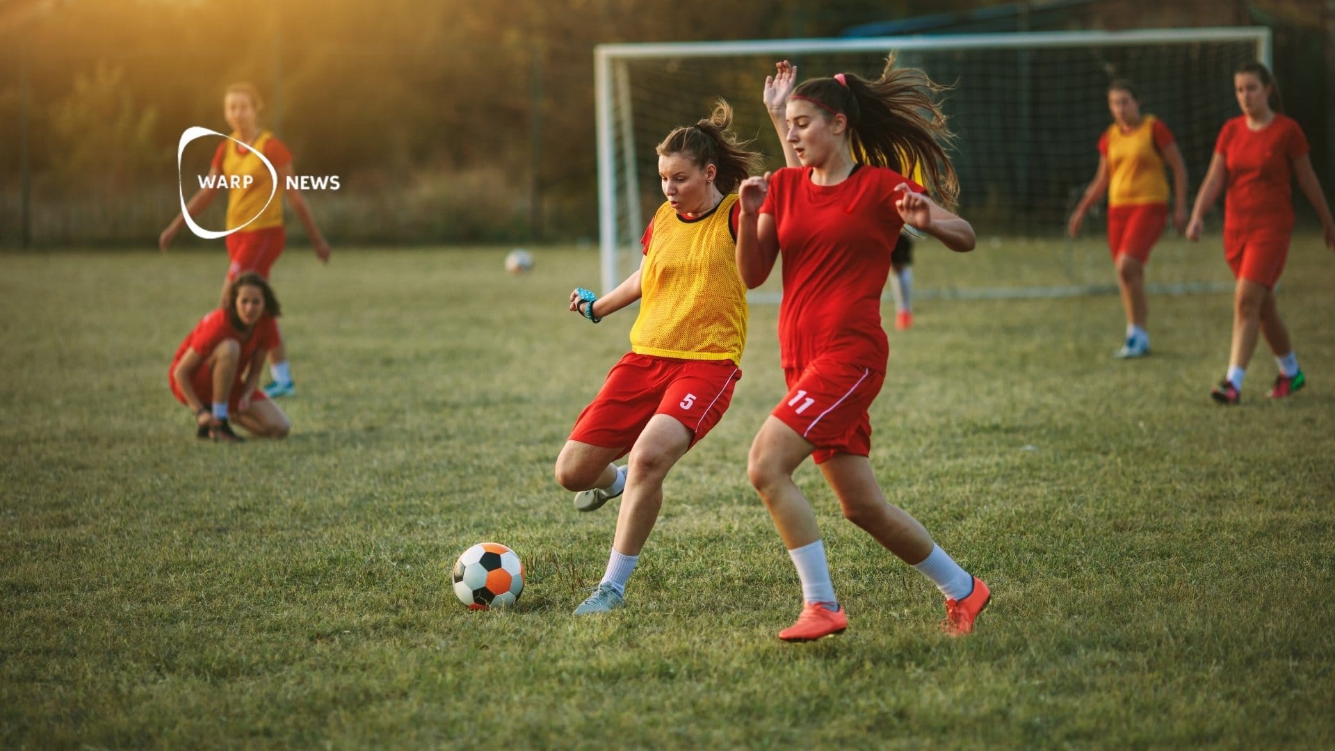 🤼 Record increase in young sports participants in Sweden