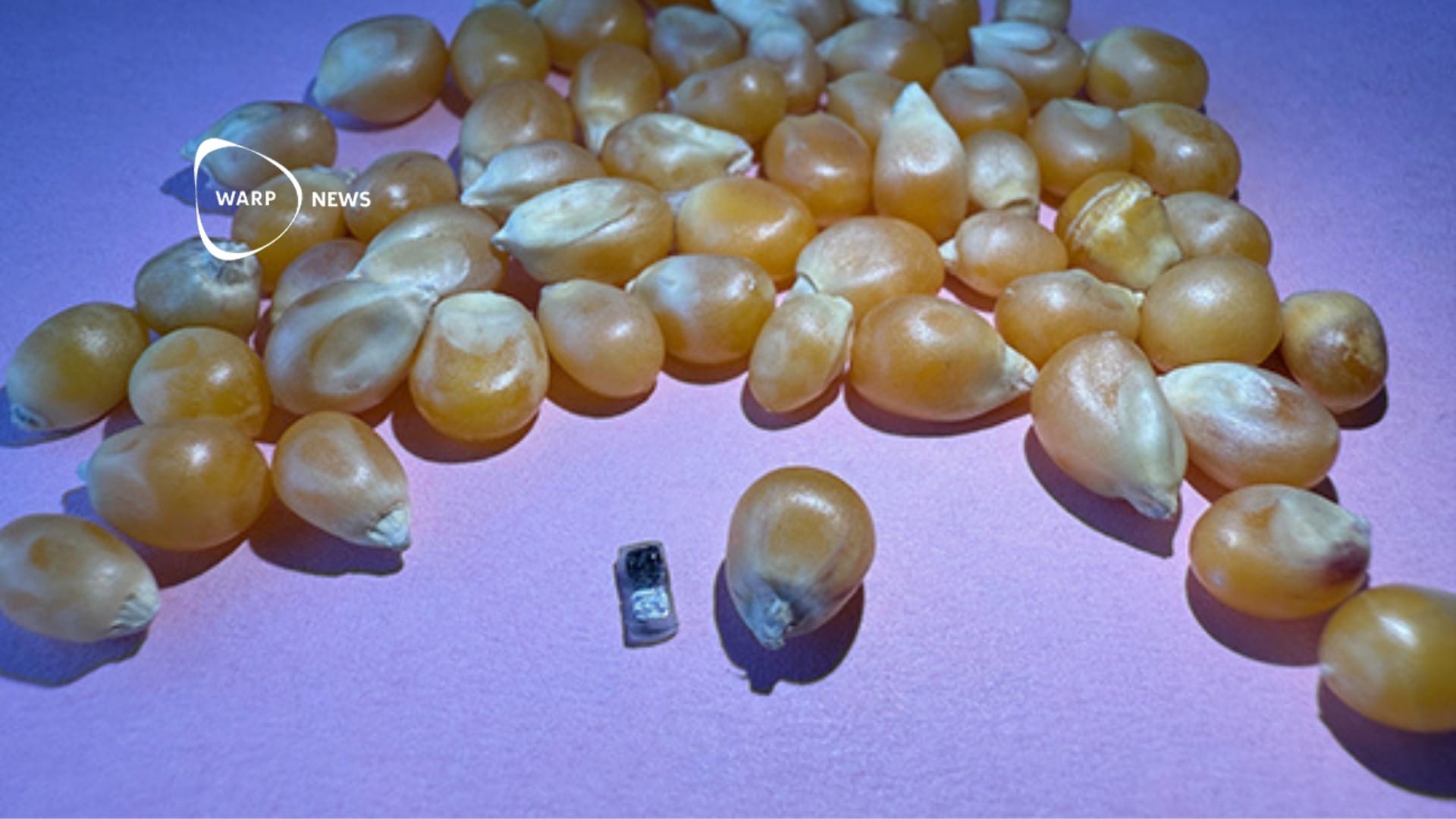 💉 A pacemaker so tiny it can be injected with a syringe