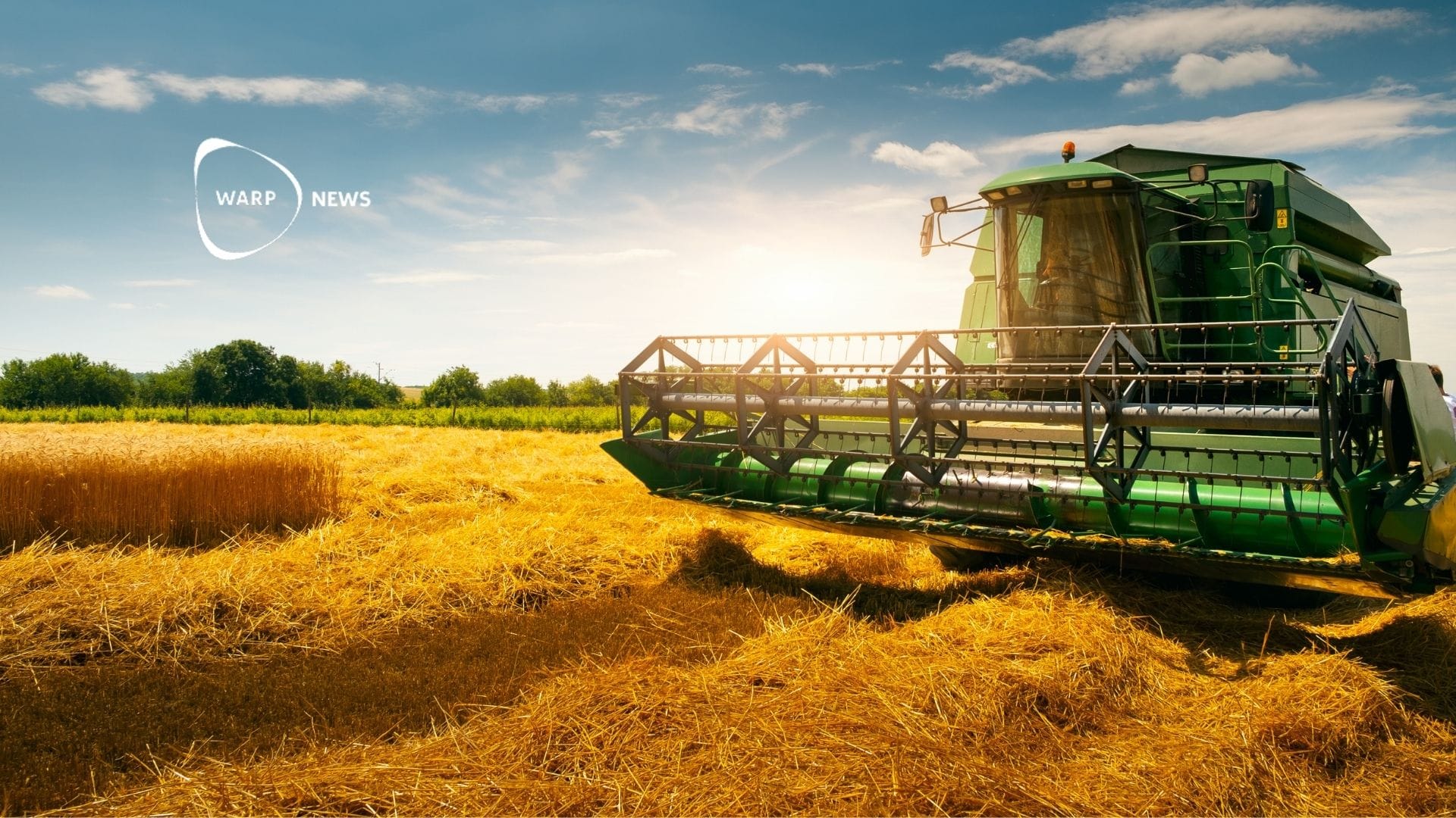 🌾 Global grain supplies set to reach record levels – food prices expected to fall