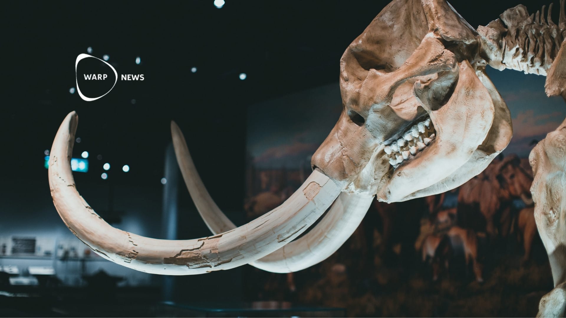 🧬 Scientists have for the first time sequenced RNA from 40,000-year-old mammoth