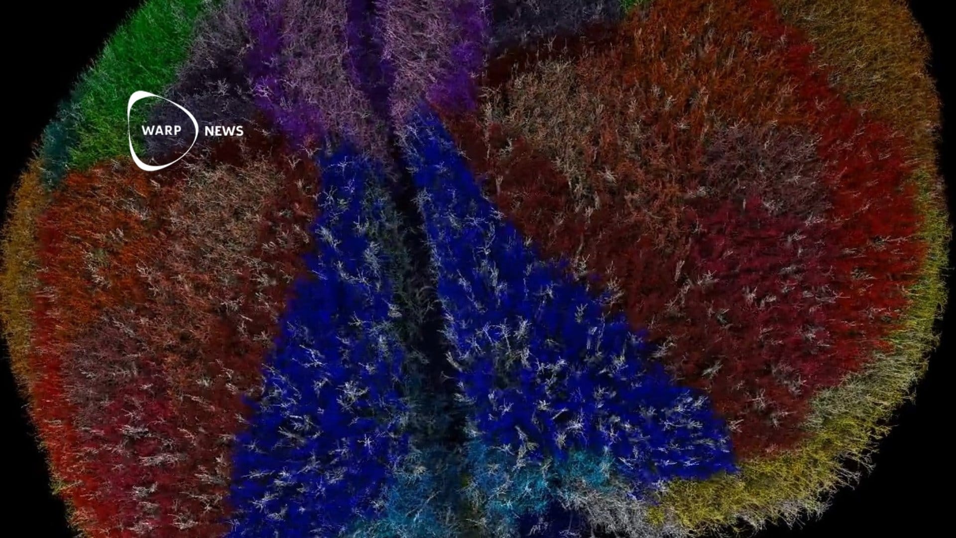 🐭 Researchers simulate entire mouse brain with nine million neurons