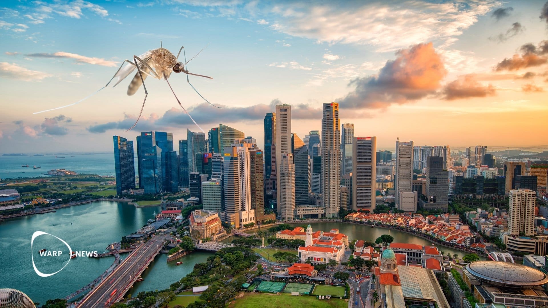 🦟 Bacteria in mosquitoes reduced dengue cases by 70 percent in Singapore