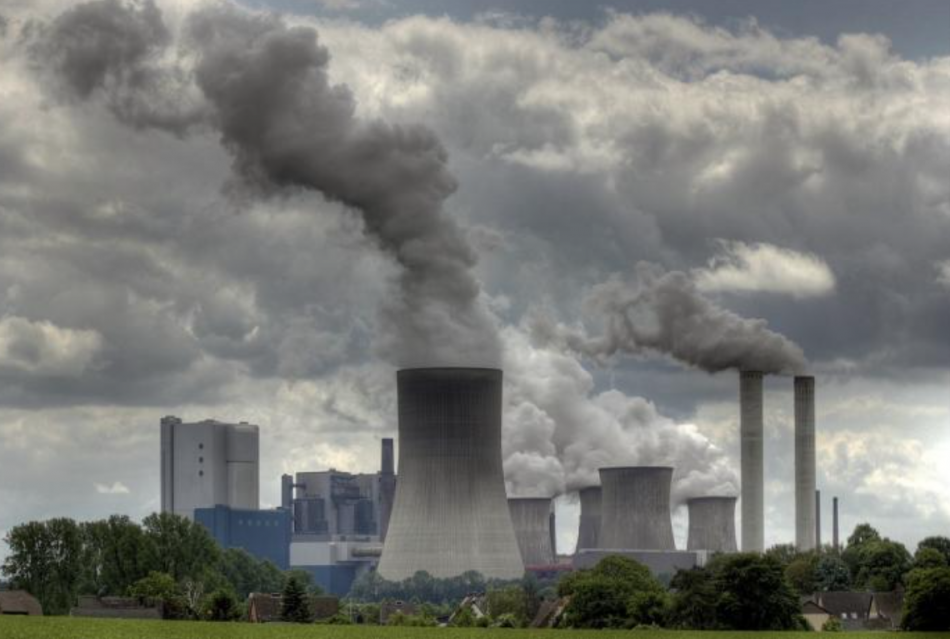 Coal generation collapsed in Europe over the first six months of 2019
