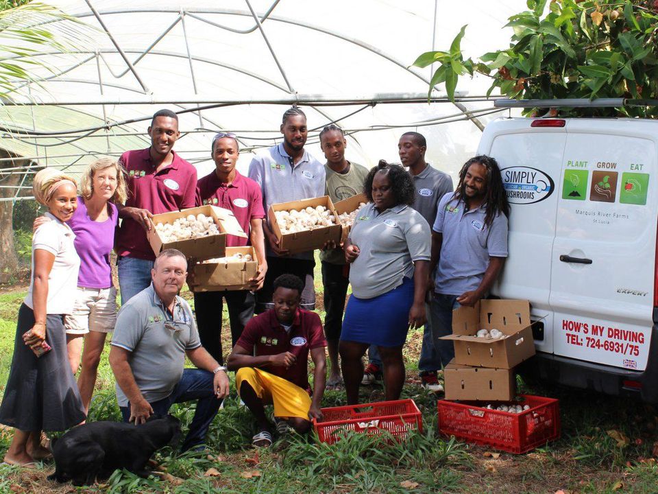 This co-owned mushroom farm is providing a new business model for farmers
