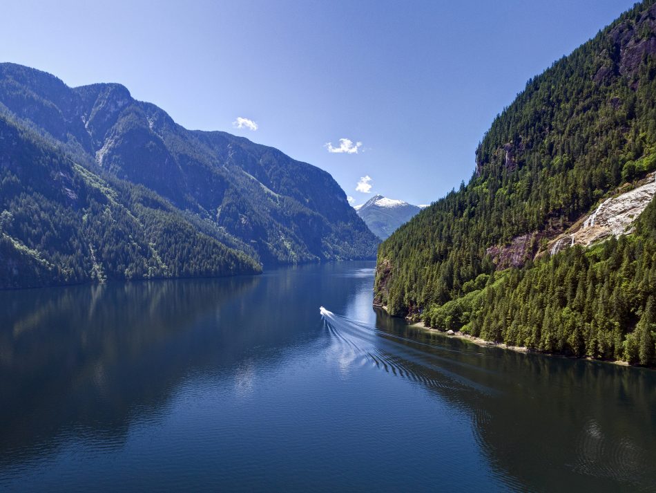 How crowdfunding saved this beautiful fjord from logging