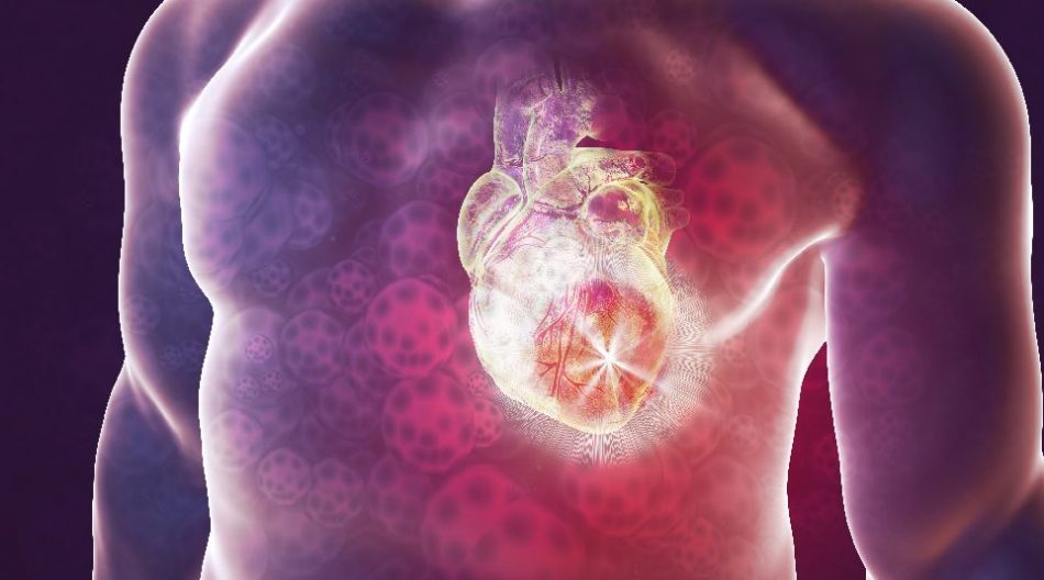 Hydrogel technology could help repair damage caused by heart attacks