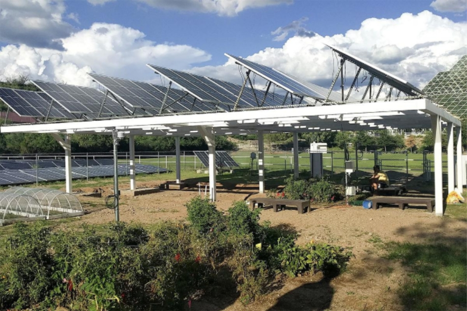 Meet the new (green) power couple: Solar Panels + Arid Farms
