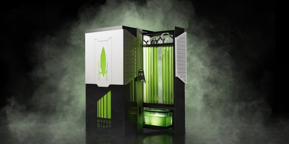This algae bioreactor captures as much CO2 out of the air as two acres of trees