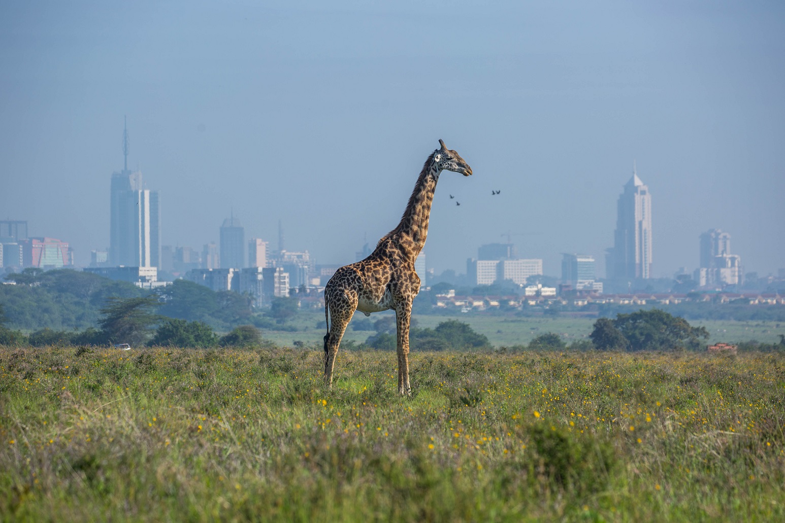 🌍 Kickstarting The Industrial Revolution in Africa