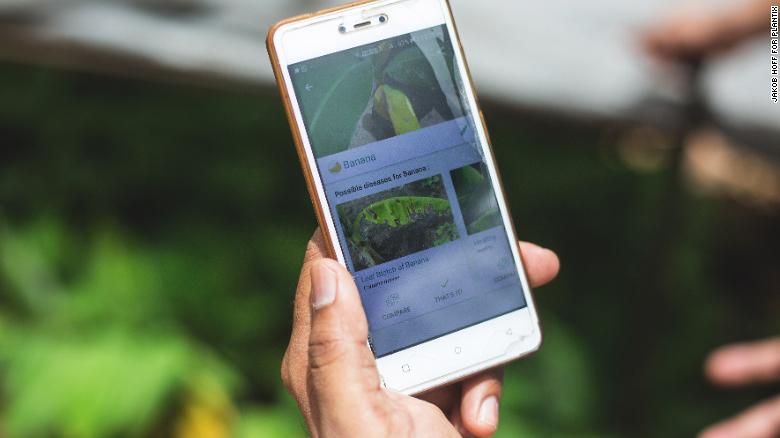 How “agritech” is helping Indian farmers