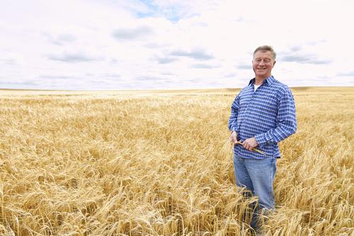 How farmers could be the new climate warriors: Agricultural carbon credits