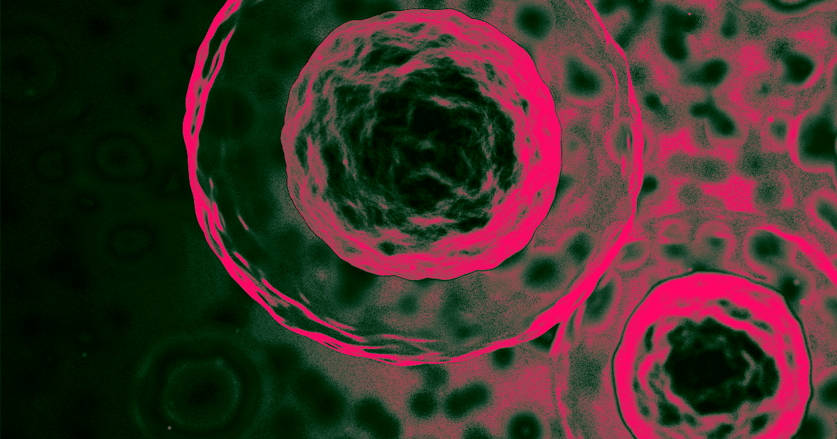 Building an "Atlas" of the Human Body