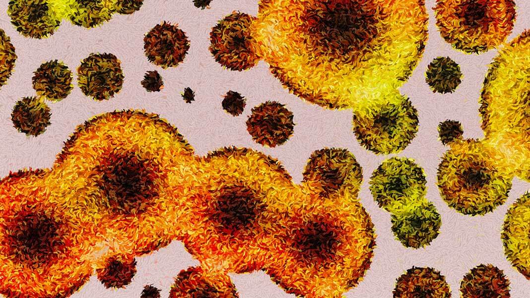 Scientists Just Found New Antibiotic Molecules—Right In the Human Microbiome