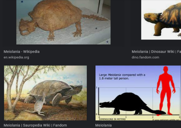 Making sense of time-passage and recent extinctions with the mammoths of Wrangell and the spike-tailed horned turtle of Vanuatu