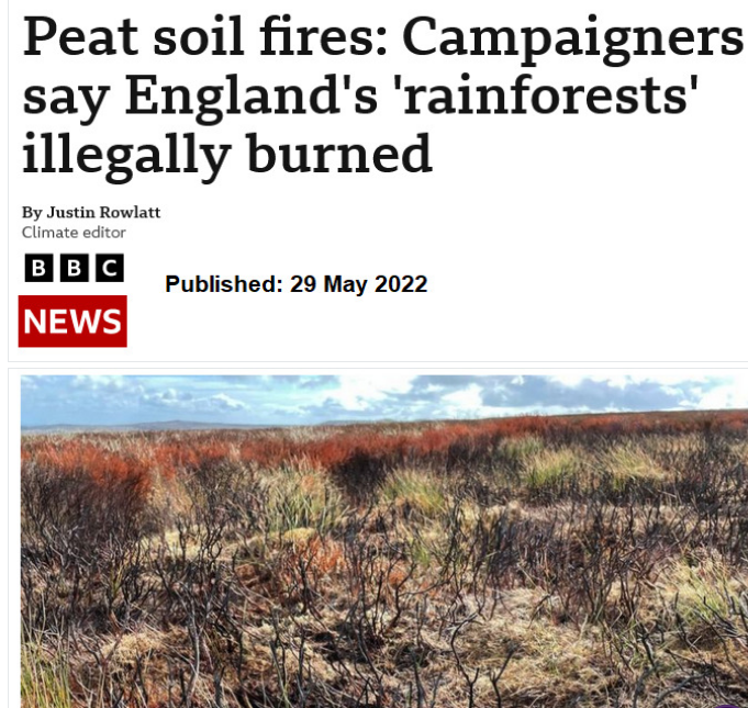 Resources on devastation of British game-bird hunting: Connecting 'Celtic Rainforest' loss, news of peatland fires, the release of millions of non-native birds a year, and mass leisure