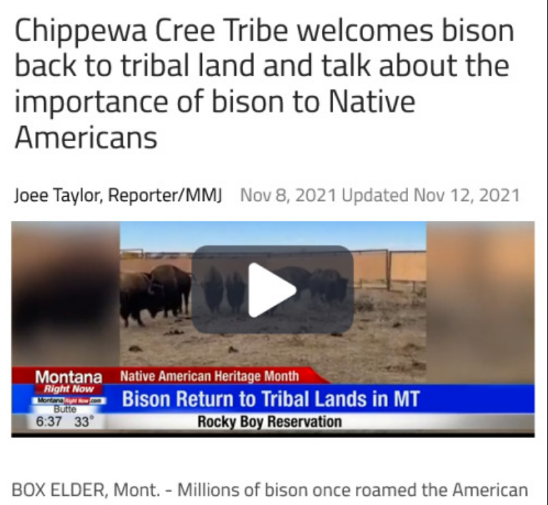 Blackfeet, Chippewa Cree, and American Prairie bison restoration (and state confrontations): Some major pushes in late 2021