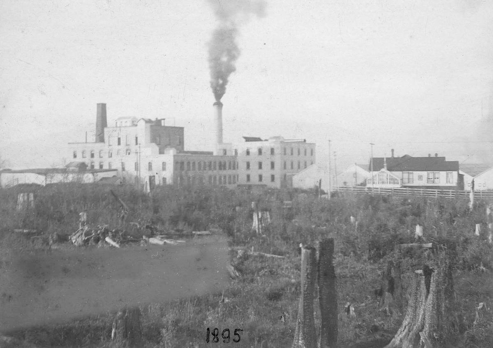 Vancouver sugar refining, the workers' strikes of 2023, and indentured labor at Fijian plantations in the 1910s: Phantom limbs of British Columbia in a global circuit
