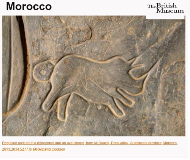 Rhinoceros near the eastern Mediterranean?: Megafauna and Holocene extinctions (part 1 of 2)