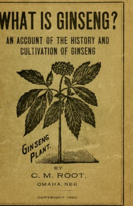 Incredible serendipity of the discovery of North American ginseng: Global circulations of knowledge, matter, tea-traders, and empire in the eighteenth-century