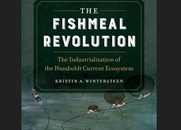 Fishmeal boom (and bust) in Peru and Chile: Ghost acres, global circuits, US-Dutch industry, and an environmental history of the state(s) vs. the Humboldt Current