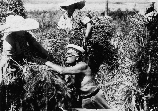 Unruly mangroves and the (un)making of imperial borders in Bengal, Aotearoa, and Brazil, 1825-1945