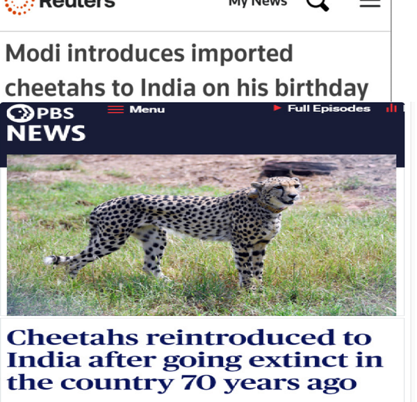 Greenwashing the cheetah project: Contextualizing the nationalist rhetoric and laundered image of a 'resurrected' cat in Modi's India