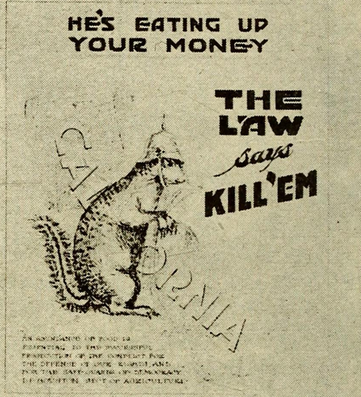 Necropolitics and scripting empire: The great locust swarm (1874), the California children's war on squirrels (1918), and the lessons of early-20th-century world-conquering board games