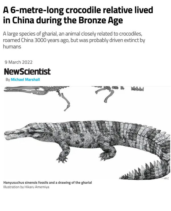 Big news for fans of bygone megafauna and ancient state-building: Previously undescribed six-meter-long gharial (!) from South China in the Bronze Age