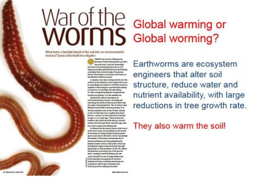 Invasive worms--and what is 'savannification'? (part 1 of 2): Explaining earthworms and environmental histories (with maps!) of the prairie-woodland boundary in the Northern Plains and Northwoods