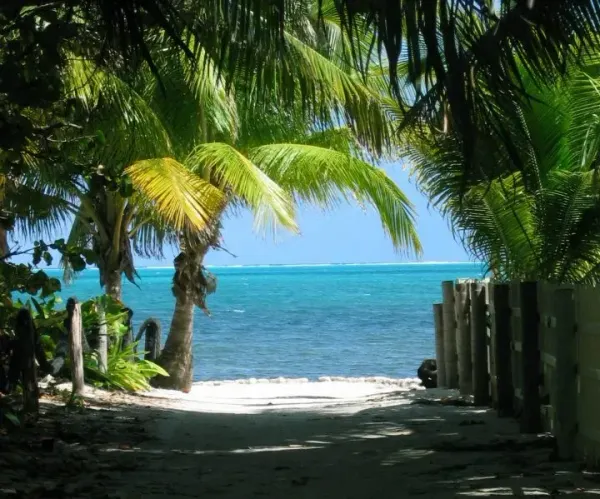 On tidalectics and resonances amidst ruination: Caribbean storms, Pacific tides, (post)colonial temporality, and transnational thinking
