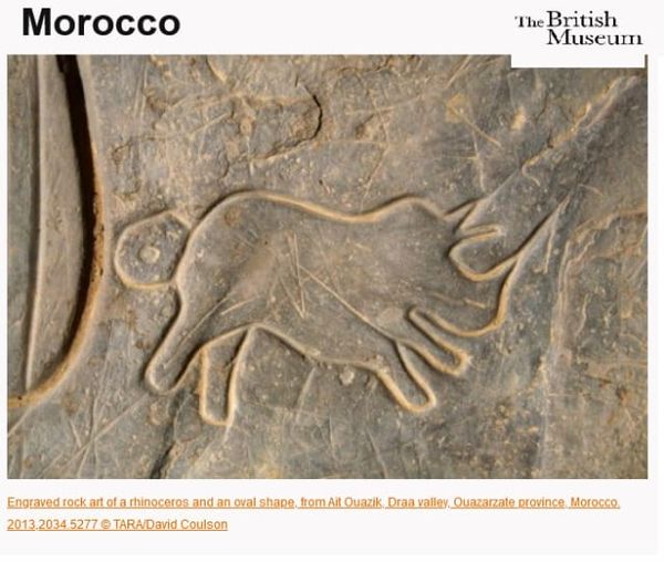 Rhinoceros near the eastern Mediterranean?: Megafauna and Holocene extinctions (part 1 of 2)