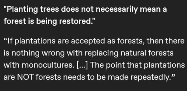 The greenwashing of tree plantations: Compilation of critiques of 'forest restoration' in Chile, Ireland, India, and beyond