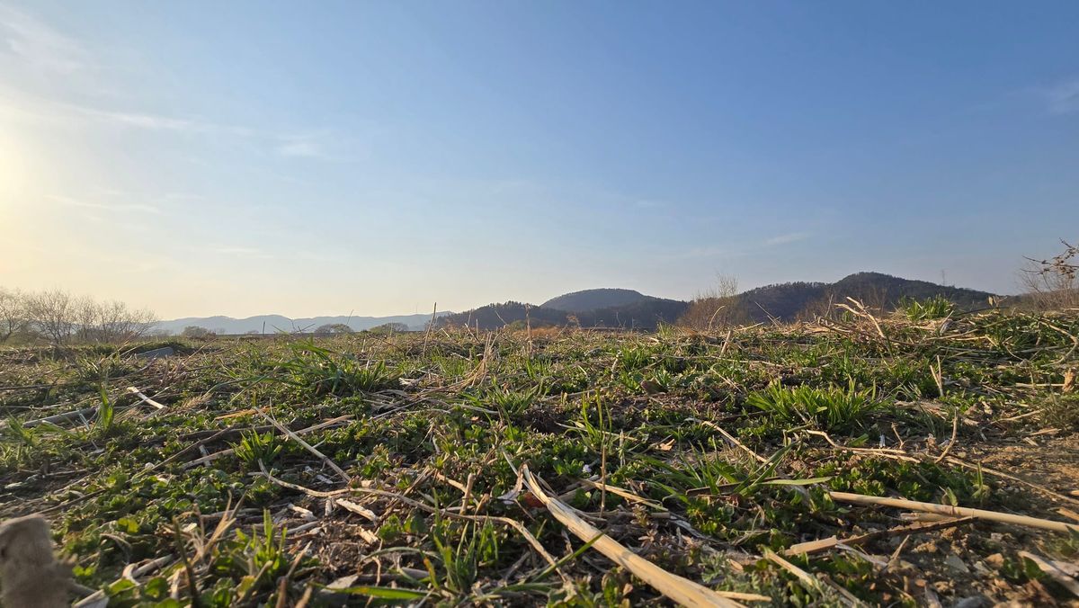 ‘무’는 유지될 수 있는가?