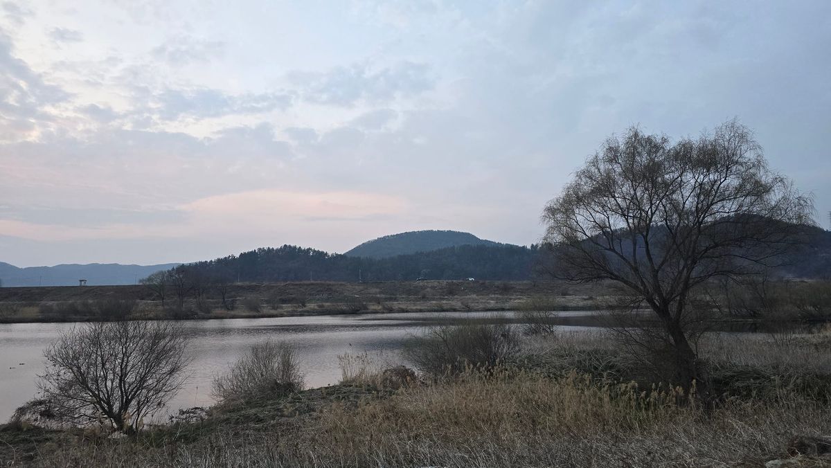 [01회] 지난 10년간 글로벌 실내 인테리어 트렌드는 어떻게 형성되었고, 한국은 어디에서 공명했는가?