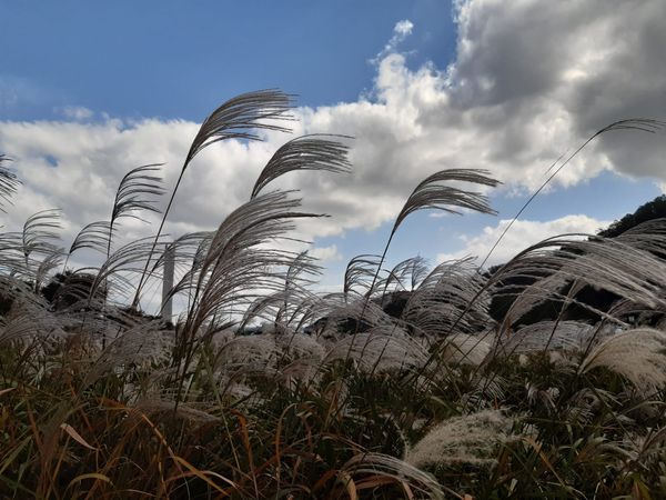 Are thought and movement truly different?